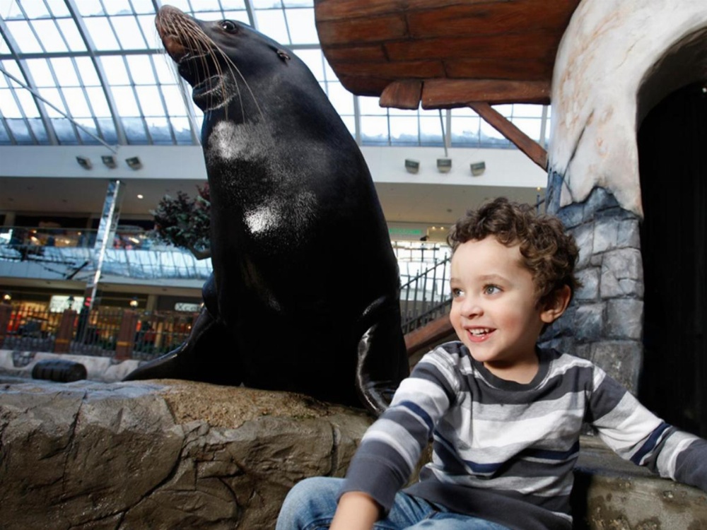 West Edmonton Mall Inn